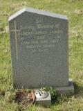 image of grave number 950667